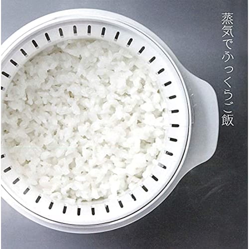 Skater Microwave Steam Rice Maker Black Made In Japan MWMR1-A