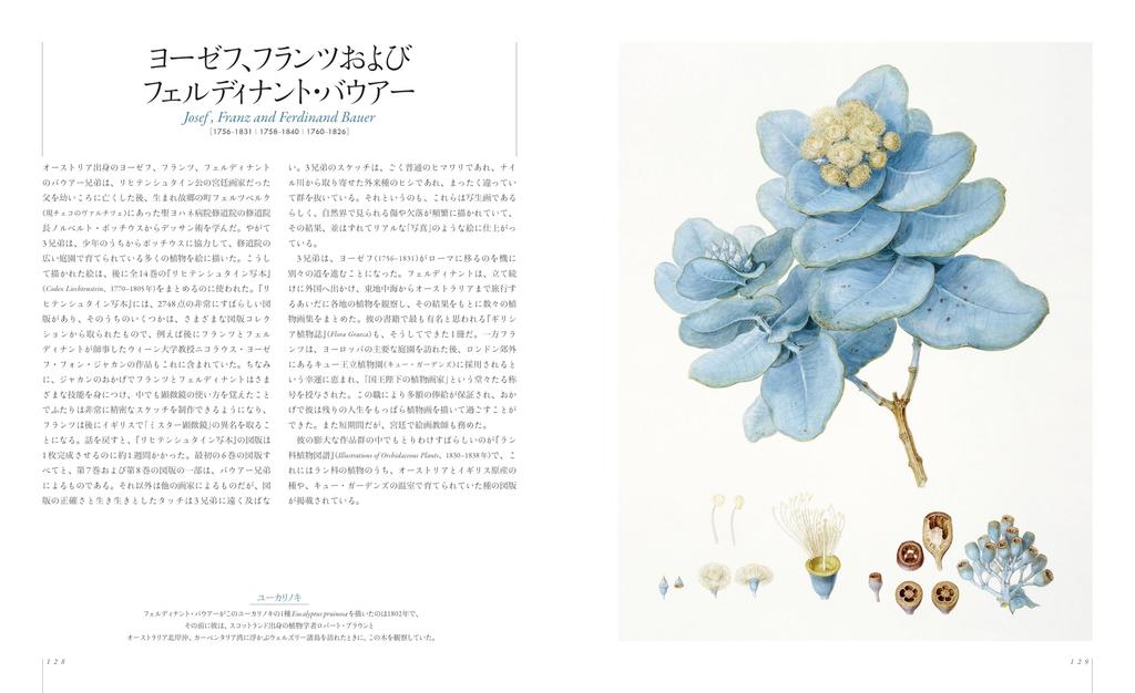 The World of Botanical Art: A Collection of Masterpieces of Botanical Illustrations