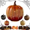 Cherishous Twinkle LED Light Pumpkins, Starry Night Pumpkins, Lighted Sparkling Starry Night Glass Pumpkin