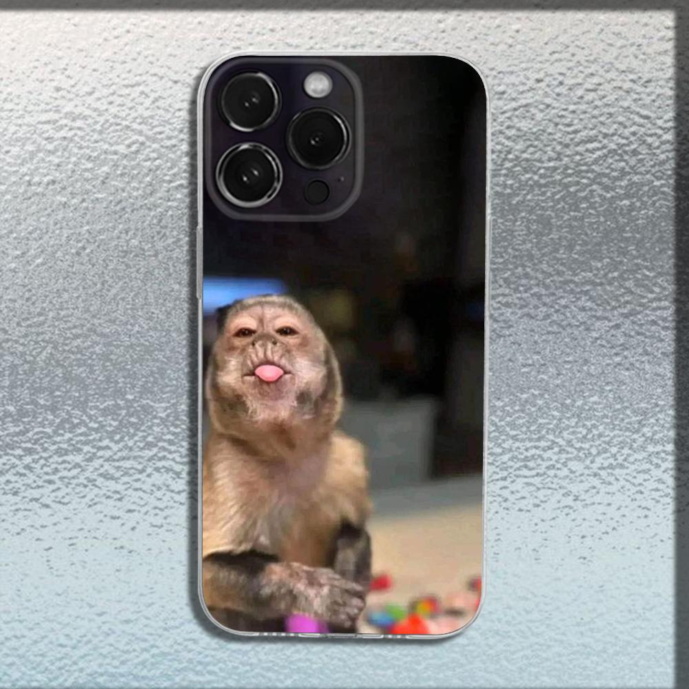 Cute Funny Monkey Phone Case For iPhone 16,15,14,13,12,11 Plus,Pro,Max,XR,XS,X,Plus,SE,Mini Transparent Soft Cover