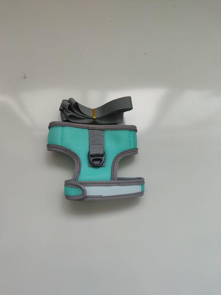 Vest-Style Cat and Dog Harness with Leash - Small Pet Walking Gear