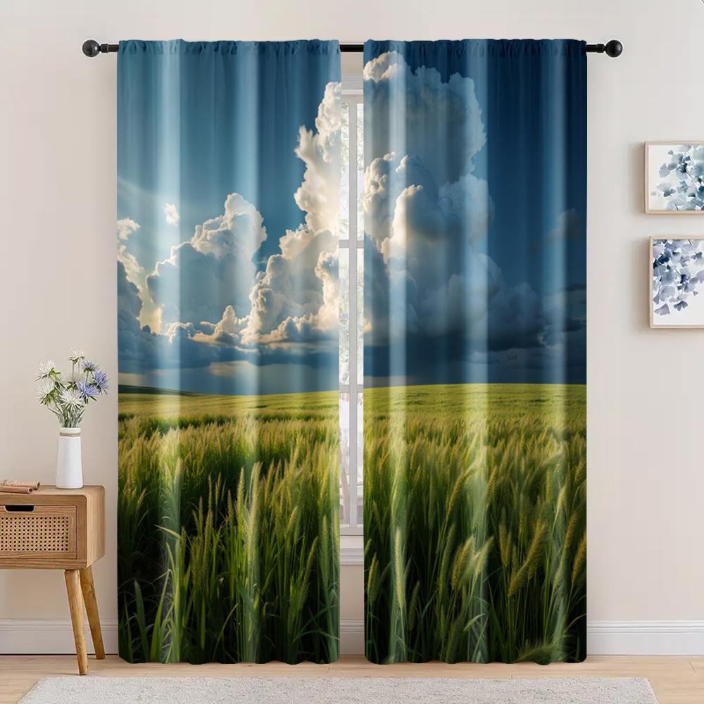 2pc, Curtain A History of Clear Grasslands and Heavy Rain Clouds1 Machine Washable Polyester,Without Electricity Versatile Use