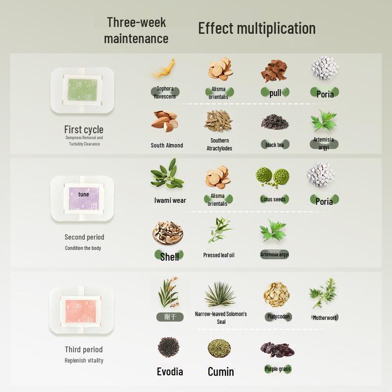 HOUCHEN "Three-Good" Foot Patches