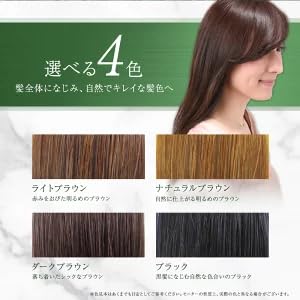 Sastty (Susty) Rishiri Hair Color Treatment (Black) 200g [For Gray Hair] [Includes Color Care Horsehair Brush & Comb]