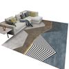 Modern Large Area Rug - Washable Carpet for Living Room or Bedroom with Nordic Style