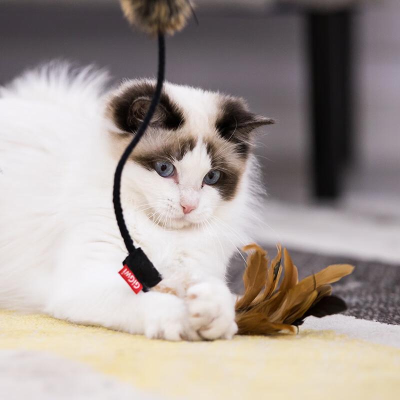 GiGwi Durable Feather Cat Teaser Wand