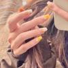 Honey Yellow Daisy Fresh Flowers: Natural Style Square Lace with Energetic Spring/Summer Vibe