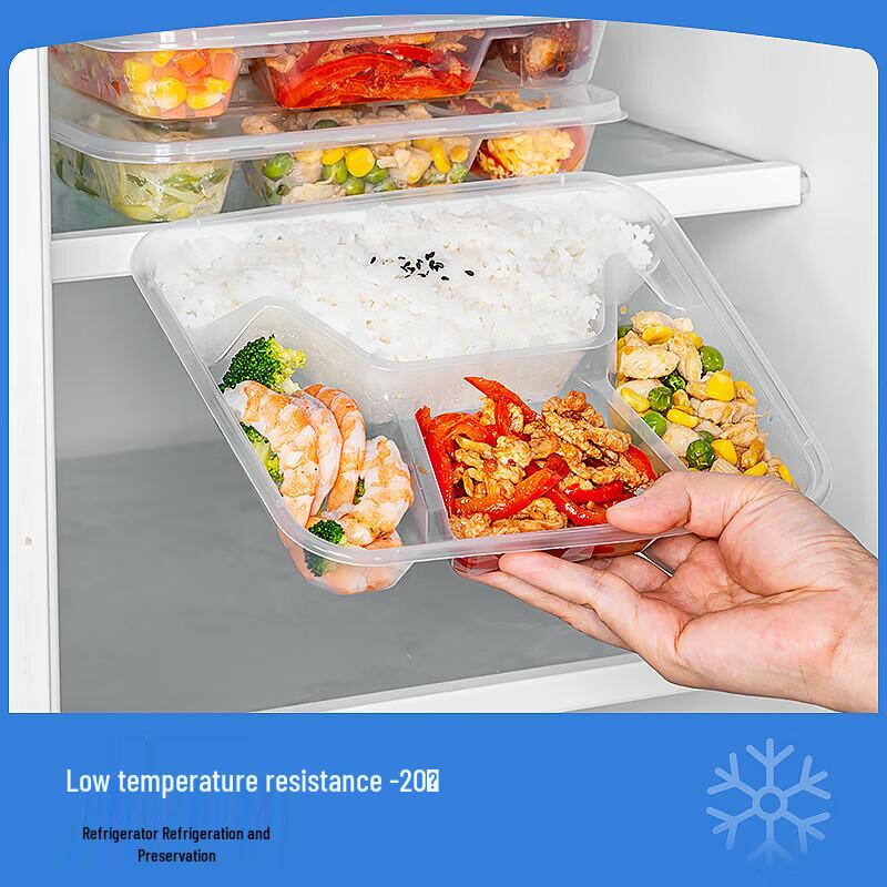 Temeiju Disposable Square 4-Compartment Takeaway Containers with Lids