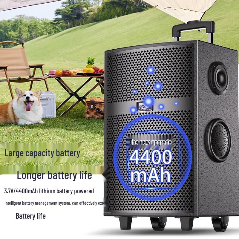 Soaiy SA-X60 8-inch Outdoor KTV Bluetooth Trolley Speaker with Dual Mics