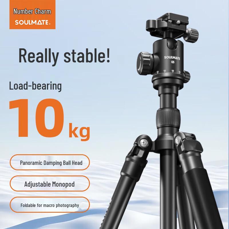 SOULMATE A254+Q5 Professional Camera Tripod with Ball Head