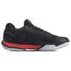 Li Ning Badminton Shoes Unisex Low Top Standard Black AYTQ025-7