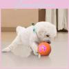 Smart Interactive Dog Toy Bouncing Ball Engaging Pet Playtime Fun For Dogs And Cats