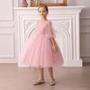 International Little Girl's Party & Performance Princess Dress