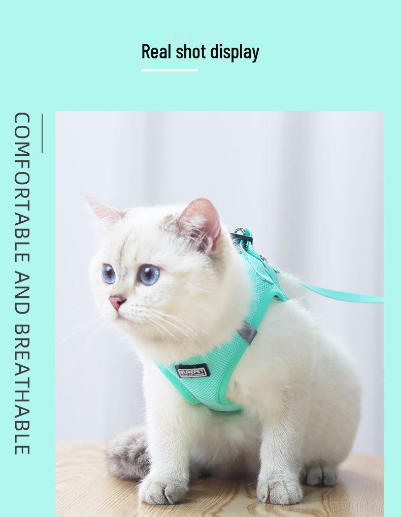 Escape-Proof Cat & Small Dog Harness Leash - Outdoor Walking Rope for Teddy & Bichon Frise