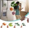 Pești și animale marine – Decorul acvariului