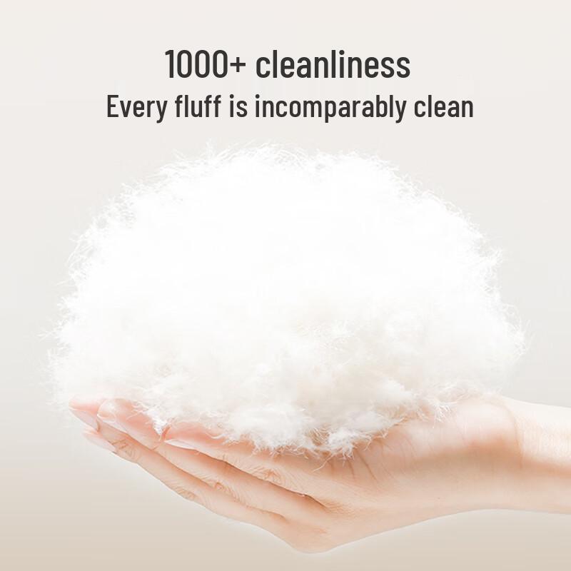 JDZ Premium Down Winter Comforter