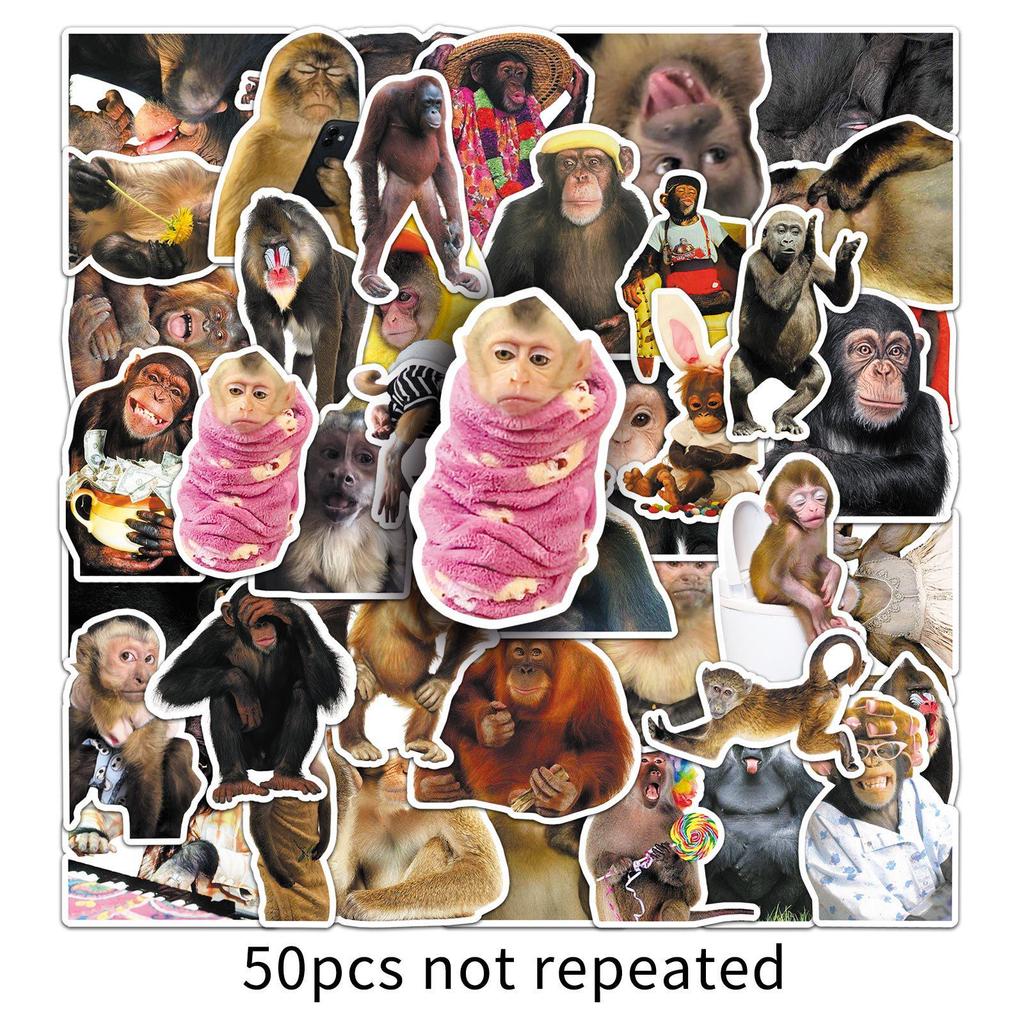50 Crazy Monkey Cartoon Stickers: Fun, Creative, Waterproof Suitcase & Desktop Decorations