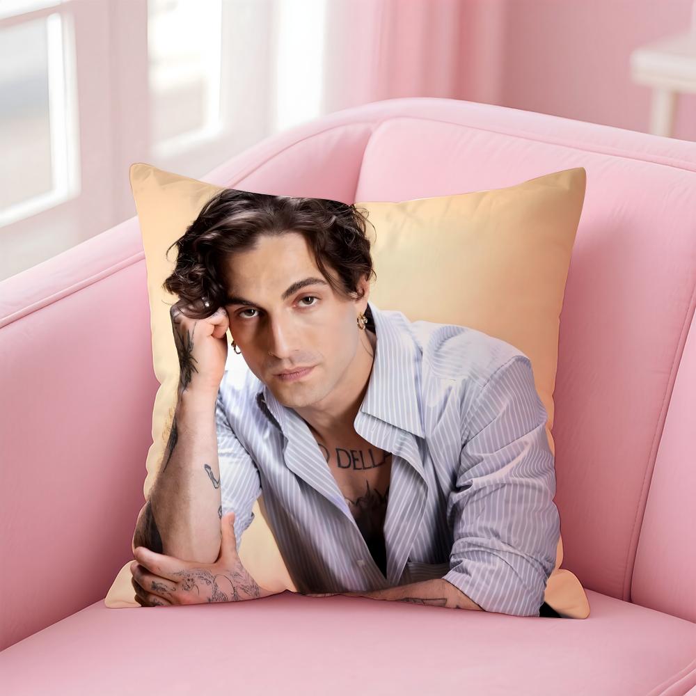 Singer D-Damiano D-David Cushion Cover Comfortable Reversible Pillow Cover Ideal for Car Sofa Bedroom & Beyond