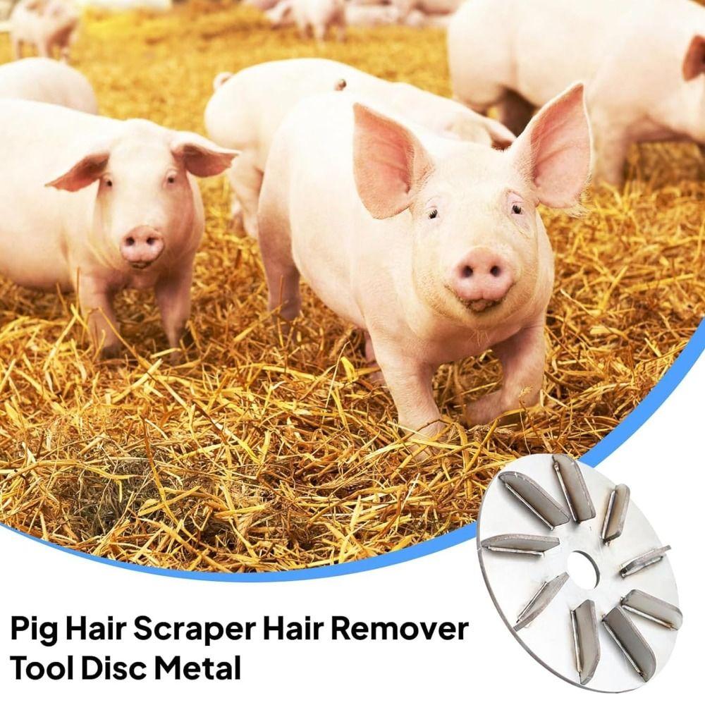 Gifts 7/9 Gears Pig Hair Removal Disc Labor-Saving Stainless Pig Hair Scraper Disc Multifunctional Pig Hair Removal Tool