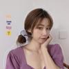 French Satin Large Intestine Hair Tie - Girlish Korean Rubber Band Hair Accessory