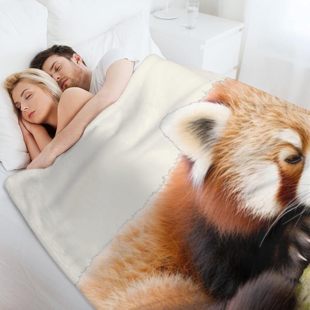 Schläfriger Roter Panda Überwurfdecke Weiche Plüsch Plaid Cosplay Anime Großes lustiges Geschenk Decken