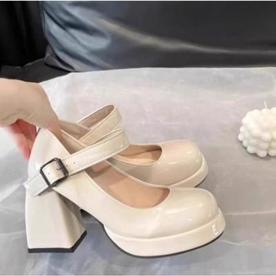 Dames Hoge Hakken Pumps Mary Jane Schoenen Platform Roze Zwart Wijnrood Wit Blokhak Werken Feest Dans Bruiloft Schoen Vrouwelijk