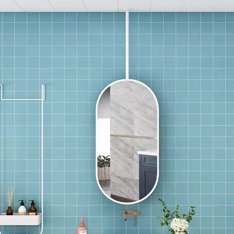 Double-Sided Oval Hanging Mirror with Light for Bathroom or Barber Shop
