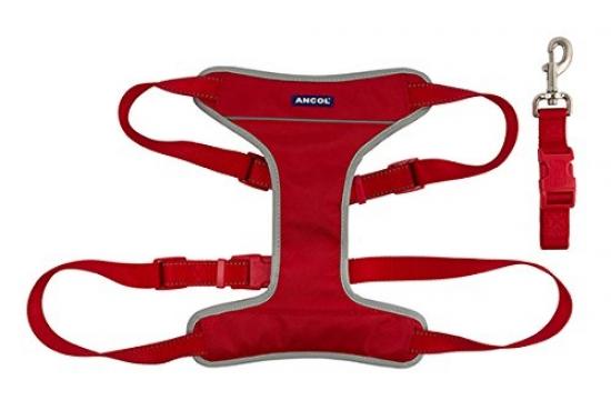 ancol harness
