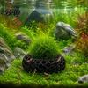 Dwarf Shrimp Hideout 2Pcs Caves for Plants, Aquarium Round Hideouts, Cherry & 3D Printed Cave Hides Moss Ferns And Anubias, Tank Decoration Structure