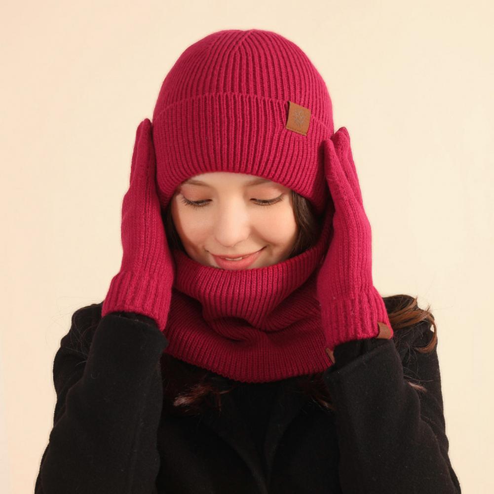 3 Pcs/Set Women Winter Hat Scarf Gloves Set Thick Plush Knitted Warm Cap Gloves Elastic Ear Windproof Wi