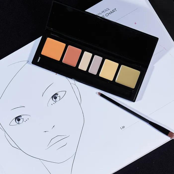 Jeong Saem Mool Artist Concealer Palette