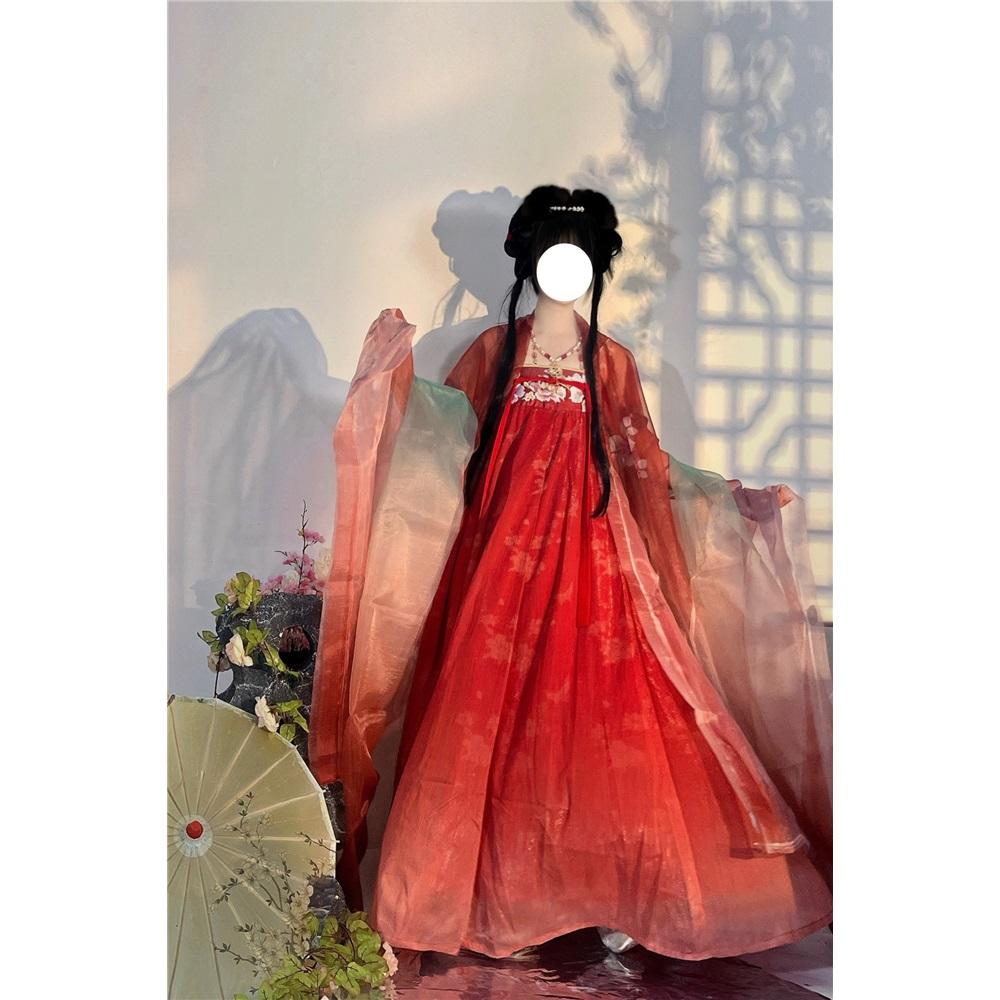 Rochie HE ZI în stil chinezesc din dinastia Tang Costum pentru femei Hanfu Costum zilnic brodat