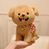 25/35cm Cat Doll Simulation Plush Toy Handmade Doll Cartoon Anime Cute Pillow Cushion Home Decoration Children's Birthday Gift T
