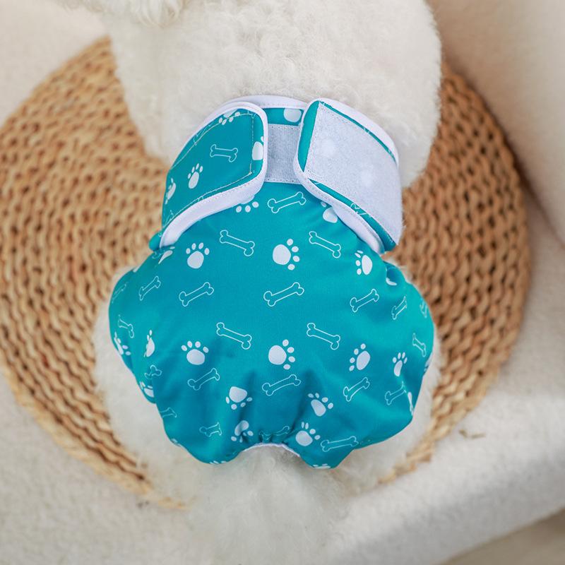 Pantaloni de fiziologie pentru cățele, Pantaloni de fiziologie pentru câini, Scutece, Scutece menstruale, Haine de primăvară și vară pentru animale de companie