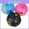 Interactive Dog Chew Toy Enamel Rubber Squeak Sound Treat Dispenser For Training And Play