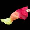 Belly Dance Fan Artificial Long for Dancer Women