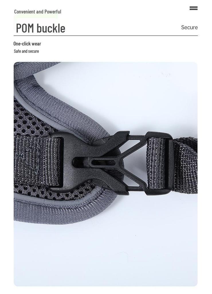 Maine Coon Anti-Escape Breathable Mesh Cat Harness & Leash - No Choke Design for Outdoor Adventures