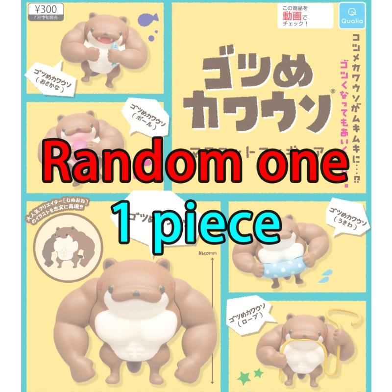 

Qualia Gashapon Капсульная игрушка Мышечная выдра Милая модель животного Украшение стола Маленькая фигурка Детские подарки на день рождения