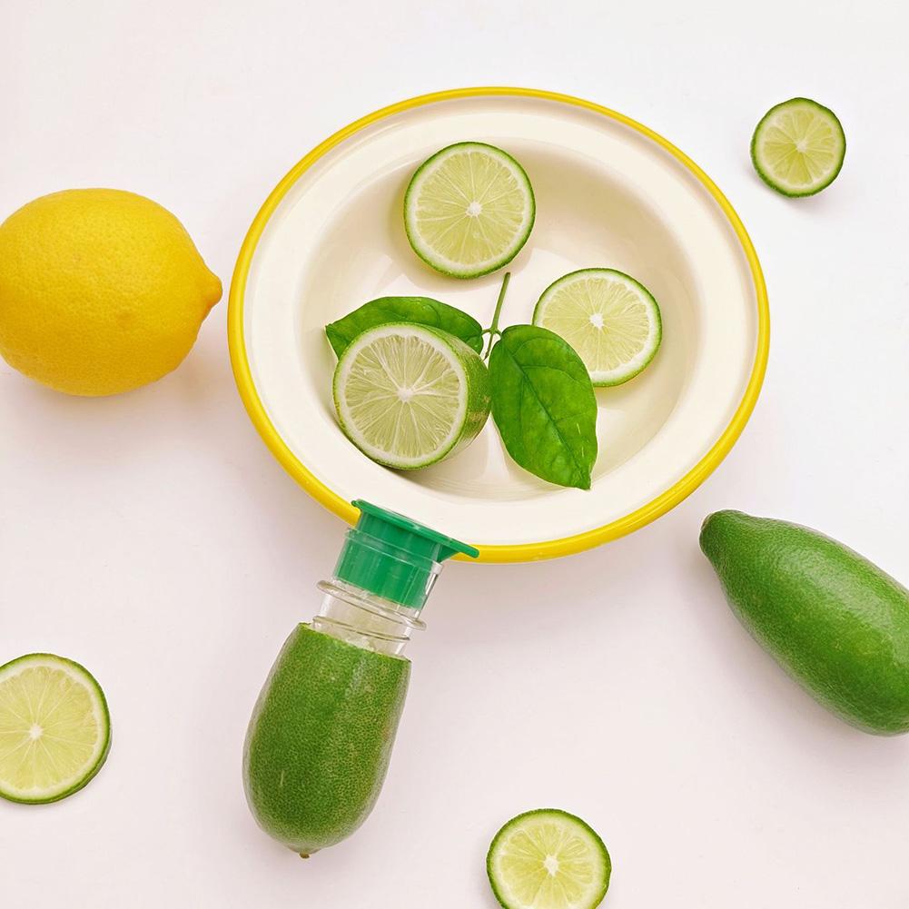 2pcs Lemon Squeezer Juice Extraction Household For Cocktails Screw Top Lemon Squeezer Manual Small Lemon Juicer Maker Tools