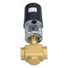 Electric Motorized Valve Regulating Control Brass BSP 2 Way AC 220V for Industry