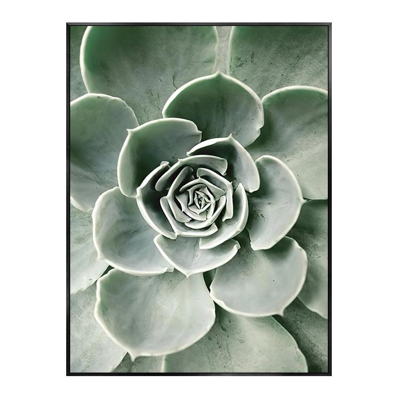 Monstera Leaf Green Plant Poster Animal Lion Leopard Horse Photos Nordic Decorative Paintings Canvas Wall Art Picture Home Decor