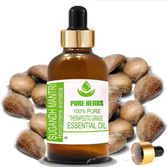 

Pure Herbs Sugandh Mantri (Hedychium spicatum) Pure & Natural Therapeutic Grade Essential Oil Glass 5 ml