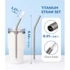 Heavy - Duty Titanium Straws 8.5" Reble for 20 Oz Tumblers | Metal Drinking Straws for All Kinds of Hot & Cold Drinks, Eco Conscious, BPA Free with