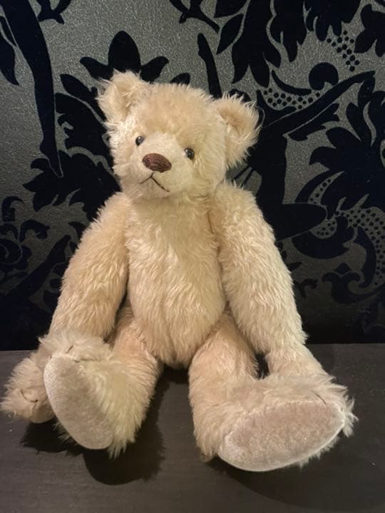 

[USED] teddy bear