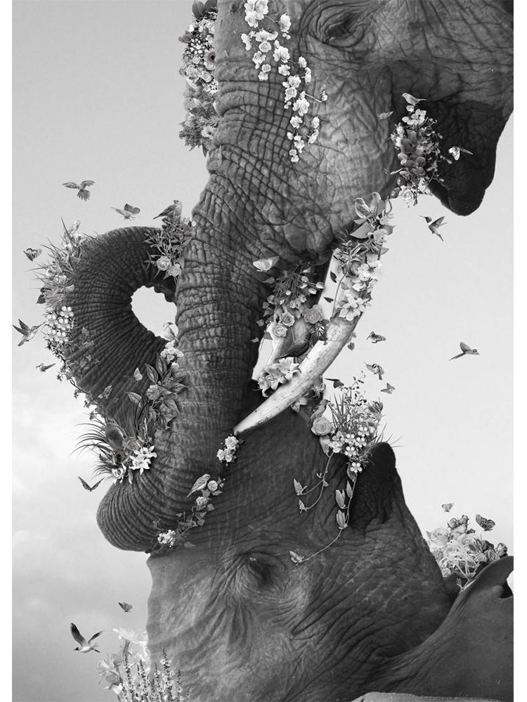 Wildlife Elephant Family Posters Canvas Painting Animal Father Mother Baby Love Wall Art Picture For Modern Room Home Decoration