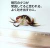 Tetsuwan LIGHT GAME WORM M004 Cangrejo Azul Brillante Gusano AZW-M #Marrón/Rojo