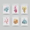 Corals Art Print Wall Pictures Home Decor  , Watercolor Cora Print Wall Art Hanging Bathroom Canvas Painting Nautical Decoration
