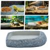 Reptile Water Dish Reptile Food Feeding Dish Terrarium Decor Resin Pet Feeder For Frog Hermit Crab Tortoise Snake Bearded Dragon