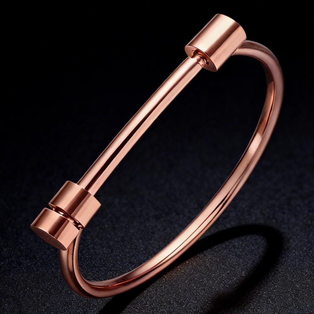 Women's Light Luxury Stainless Steel Horseshoe Bracelet - Non-fading, Simple, Versatile Fashion Wristband, European and American Style.