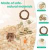 2Pcs Hamster Chew Toys Small Animal Teeth Grinding Cage Hanging Natural Wood Rabbit Chinchilla Guinea Pig Pet Toys